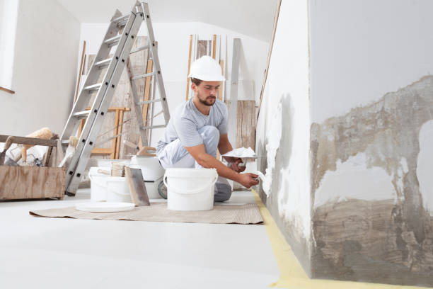 Trusted Goodrich, MI Mold Removal Experts