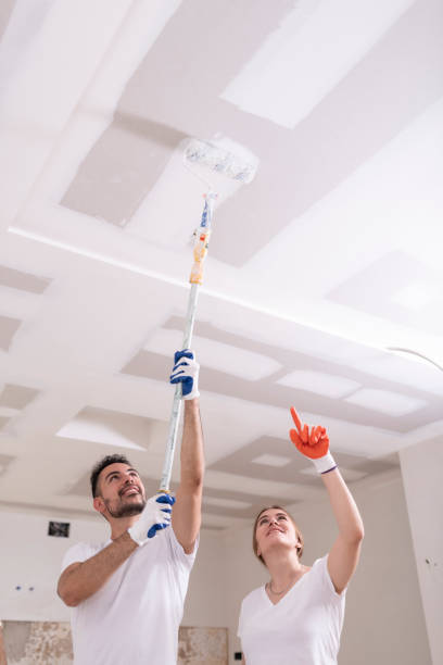 Biohazard Mold Removal in Goodrich, MI
