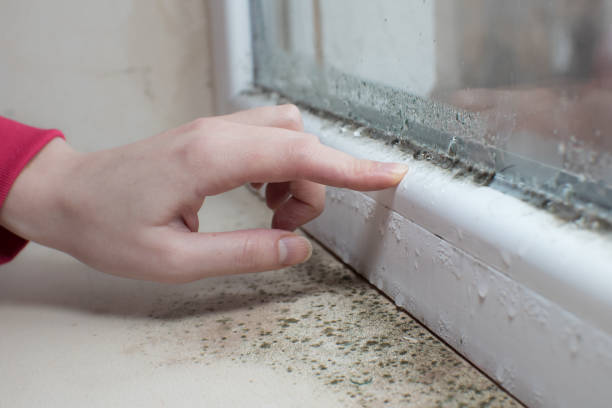 Best Industrial Mold Remediation  in Goodrich, MI