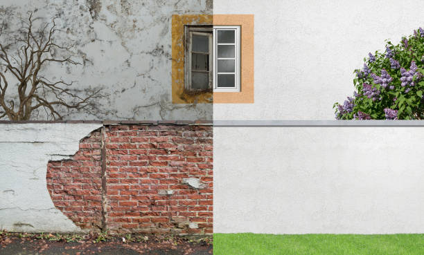 Best Black Mold Removal  in Goodrich, MI