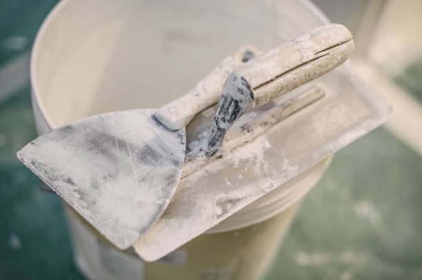 Best Mold Remediation for Rental Properties  in Goodrich, MI