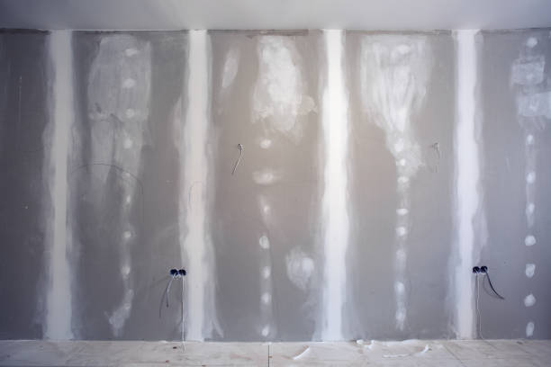 Goodrich, MI Mold Removal Company